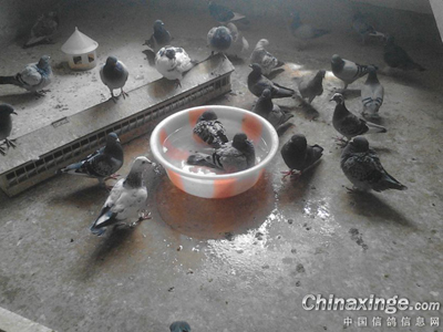 ���� ������ѡ������ҩԡ