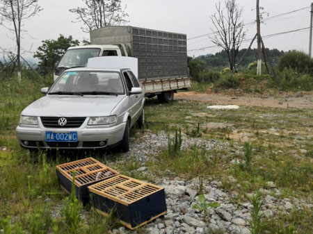 ���ɶ���ҹ��������벻����