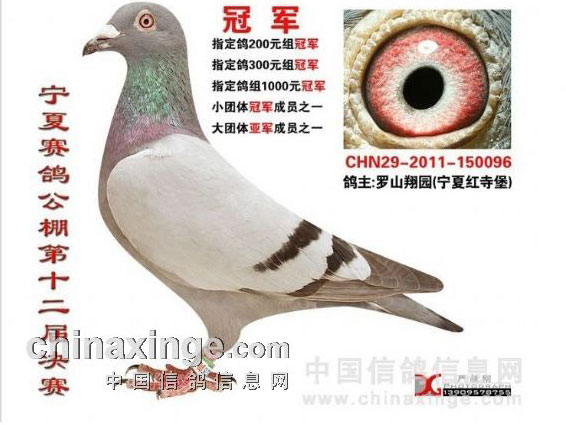 ����ھ��롰��������˿��(ͼ)