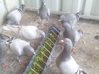 ���������������