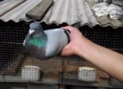 13��Ϲ���ϴ���������һ�𳬼���(ͼ)