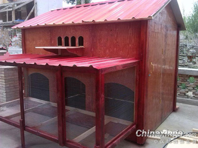 С�����磺�������׸���