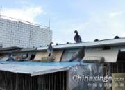 ����ѡ�����ҷ�֮�����͹���(ͼ)