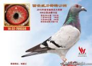 �������� ����˵�벻���ҵ�(ͼ)