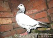 �ѵ�һ���ĳ��󼯺�(ͼ)