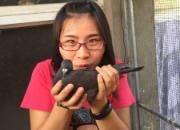 �һ��ˣ����Ӱ��ҡ���椡�(ͼ)