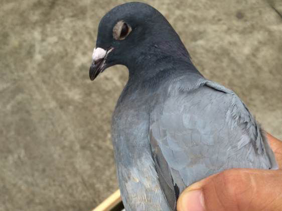 ��ɱ���� һ����(ͼ)