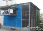 �½����¸��᣺���������(ͼ)