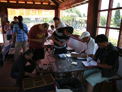 �����ٸ�԰�����Ŷӡ����˱������3326��