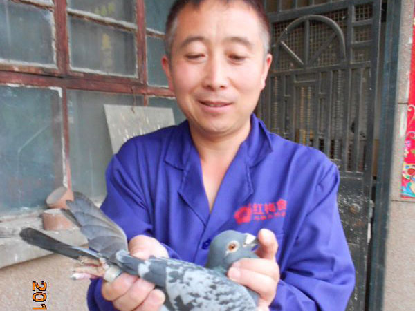 �ط�����ս���Իͣ���ɽ��ǿ��������(ͼ)