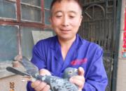 �ط�����ս���Իͣ���ɽ��ǿ��������(ͼ)