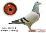 ̽�ء�Ӳ����Ѫͳ ������������(ͼ)