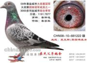 ����ʡ��Զ�̣��γǲ��ϼ����Ѽ�(ͼ)