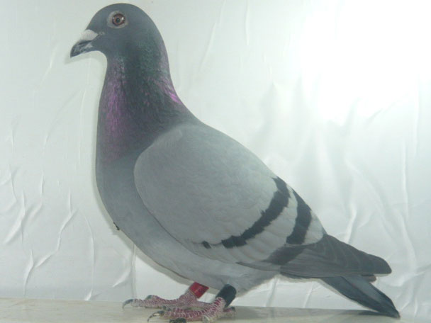 07�������ĸͻȻ�Ѳ���(ͼ)