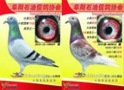 ���ո���ʯ�ʹ����رȻ񽱸�����(ͼ)
