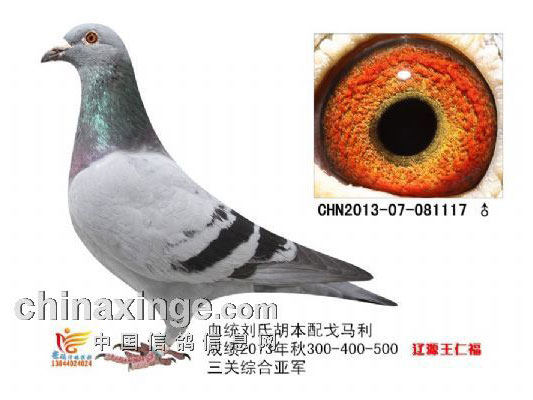 �����Ժܡ��ƽ�(ͼ)