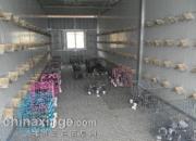 �����е���������˴���(ͼ)