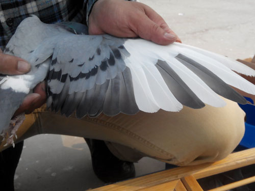 ����̽�ӣ���ʵʵ���ڵġ�����