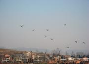 ����׽��������˭����˭�ĸ룿