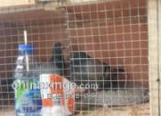 90����ѵ�80��Ǯ����(ͼ)