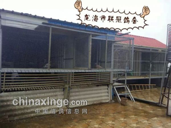 �����񫣺̸��·���ӵĺ��뻵