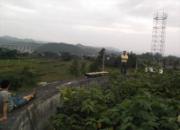 ������Ӻ����24����������鳲(ͼ)