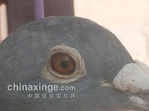 �������������ǳ��㣿(ͼ)