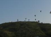 ��δ�й��ļҷ�ʧ���¼��������һ