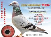 ��Щ�� ����׷�������Һ���Ѫ(ͼ)