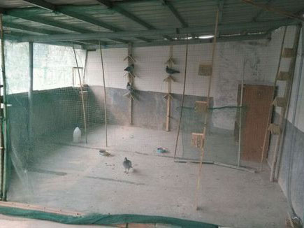 Ϊ��ʧ�ߣ��������ô���죿(ͼ)