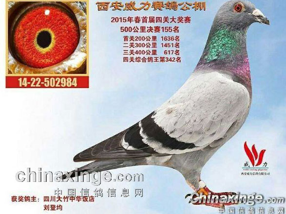 ��������ѡ���������� ������155��(ͼ)