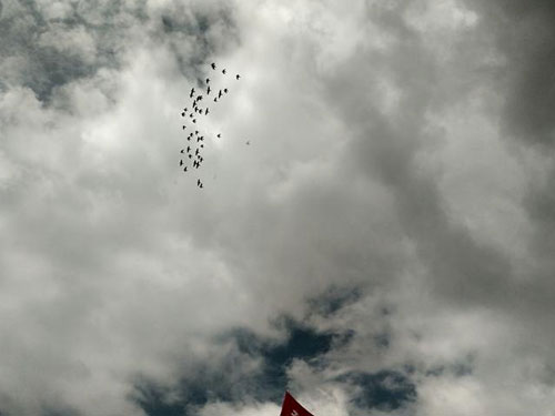 ����ҷ�������(ͼ)