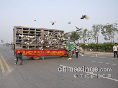 Զ������������򽫴���Ϻ�����(��)