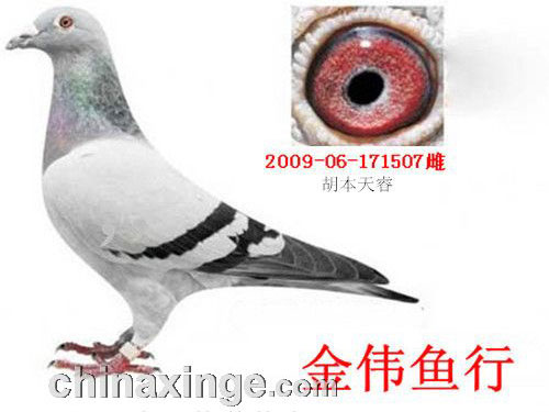 �ϸ��ѣ�Լ���ϻ�鵥��Ÿ�(ͼ)