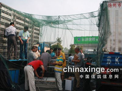 Զ�̱���û�еط����Դ���ջ���