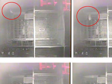 ������¡�ҹ�и롱����(ͼ)