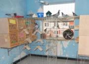 �ҵ����Ҹ��᣺Ӯ��������ھ�(ͼ)