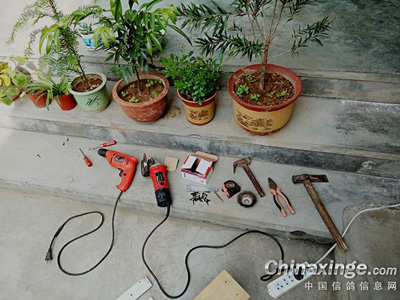 ���Ϊ�����Լ�������ʳ��(ͼ)