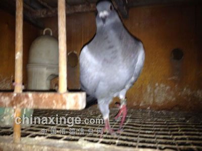 �����ˣ�������粻�ҷ�(ͼ)