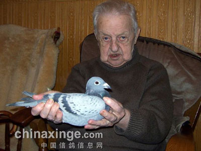 ���ܸ�ϵ Ψ��ղɭ(ͼ)