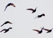 ��40�ȸ�������ս���조��һ����