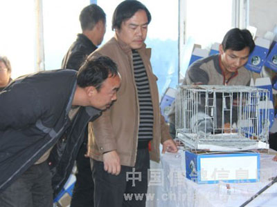 12����������������