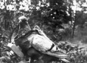 ���˻����ĵı��澹Ȼ�Ǹ���(ͼ)