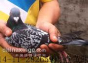 ����Ʒ������������ǰʮ��(ͼ)