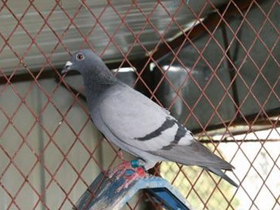 �����ٵ�Ǯ��ø�