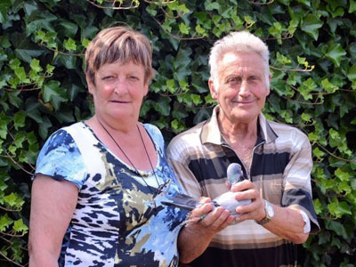 ����ʱ����³II�������ھ�����(ͼ)