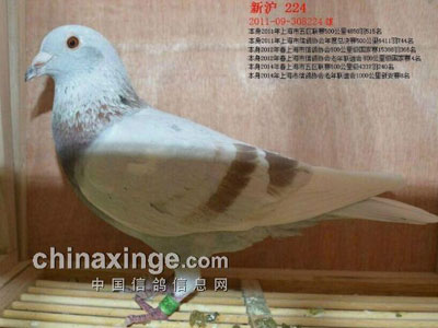 ���齻���������м�