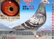 �����ѷɣ��²����빫���Ѽ�(ͼ)