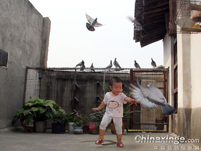 ͯȤ������ʹ�����ץ��(ͼ)