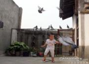 ͯȤ������ʹ�����ץ��(ͼ)